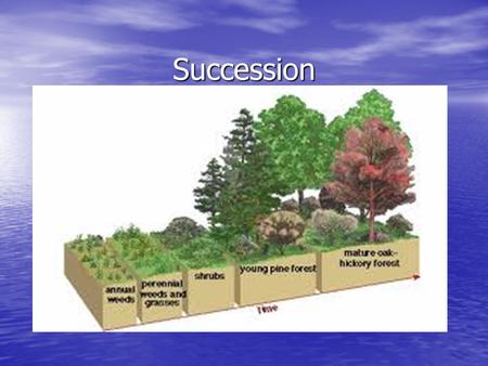 Succession. Succession – is orderly, natural changes that take place in the community of an ecosystem. Succession – is orderly, natural changes that take.