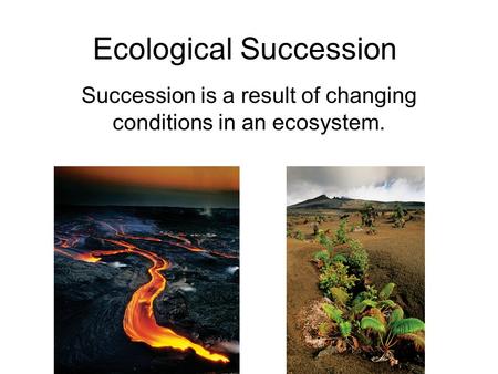 Ecological Succession Succession is a result of changing conditions in an ecosystem.