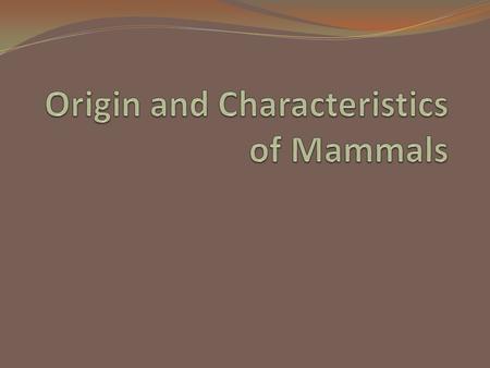 A. Origin of Mammals The first mammals appeared about 230 million years ago, during the Triassic period.