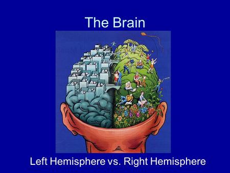 The Brain Left Hemisphere vs. Right Hemisphere. Vocab: Hemisphere Hemi = Half (Greek) Sphere = Circle Hemisphere= half of a sphere or circle What else.