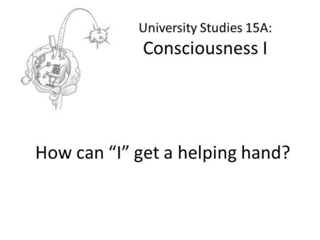 University Studies 15A: Consciousness I How can “I” get a helping hand?