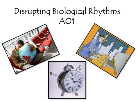 Disrupting Biological Rhythms AO1. Write down all you know about the disruption of biological rhythms.