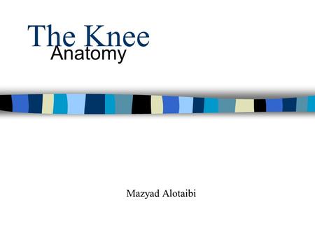 The Knee Anatomy Mazyad Alotaibi.
