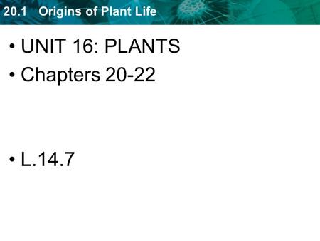 UNIT 16: PLANTS Chapters 20-22 L.14.7.