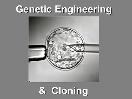 Genetic Engineering & Cloning. Genetic Engineering: (or Genetic Modification) the process of changing the genetic makeup of an organism by manually.