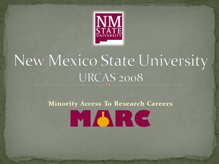 Minority Access To Research Careers. By, Nicholas G. Beltran Mentor: Dr. Antonio S. Lara Department of Chemistry and.