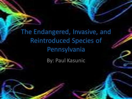 The Endangered, Invasive, and Reintroduced Species of Pennsylvania By: Paul Kasunic.