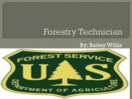 By: Bailey Willis.  Most employers require forestry technicians to have at least an associate degree in forestry technology. However, since this is a.