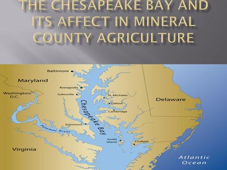  The Chesapeake Bay  History  How it affect agriculture enterprises  How does it affect Mineral County  Water Runoff  Careers related to the Chesapeake.