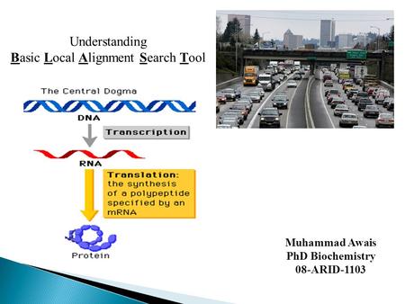 Muhammad Awais PhD Biochemistry 08-ARID-1103 Understanding Basic Local Alignment Search Tool.