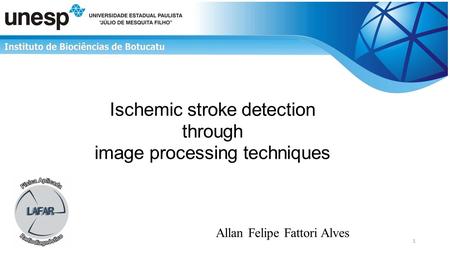 Ischemic stroke detection through image processing techniques Allan Felipe Fattori Alves 1.