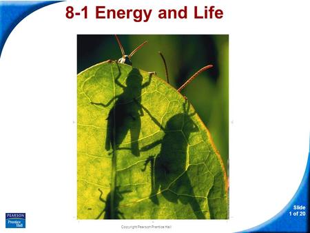 Slide 1 of 20 Copyright Pearson Prentice Hall 8-1 Energy and Life.