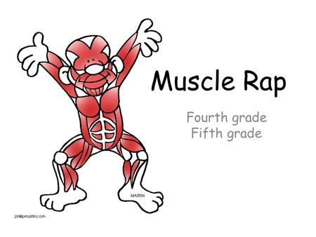 Fourth grade Fifth grade Muscle Rap. There are muscles in my body, there are 12 I should know. In the front of my body there are 6, here we go.