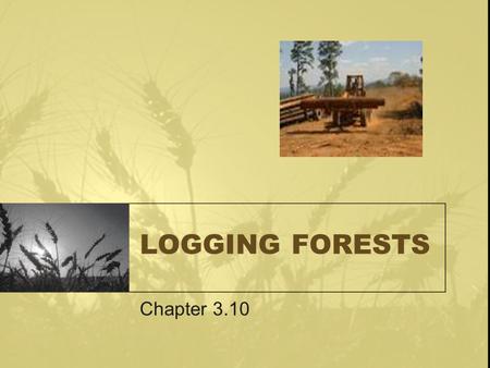LOGGING FORESTS Chapter 3.10. Logging Forests Forests regulate climate by recycling water and carbon dioxide. transpirationOn hot days a large tree may.