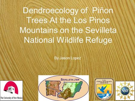 Dendroecology of Piñon Trees At the Los Pinos Mountains on the Sevilleta National Wildlife Refuge By Jason Lopez.