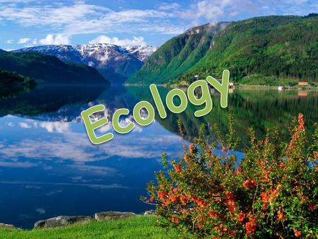 The aims of our lesson are:  to repeat the words and expressions on the topic “Ecology”  to work out ecological rules “Rules for people in the forest”