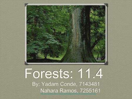 Forests: 11.4 By: Yadam Conde, 7143481 Nahara Ramos, 7255161 By: Yadam Conde, 7143481 Nahara Ramos, 7255161