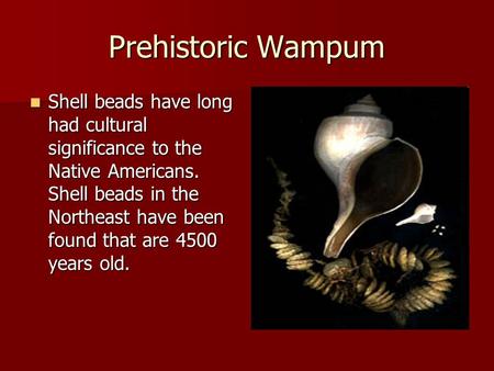 Prehistoric Wampum Shell beads have long had cultural significance to the Native Americans. Shell beads in the Northeast have been found that are 4500.