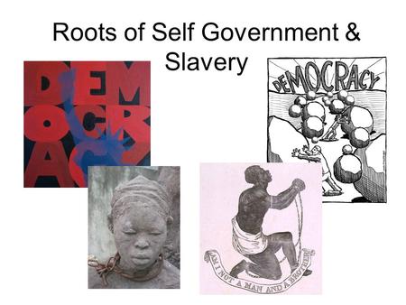 Roots of Self Government & Slavery. Slavery Grows As we have said, when plantations started popping up, the number of slaves in the thirteen colonies.