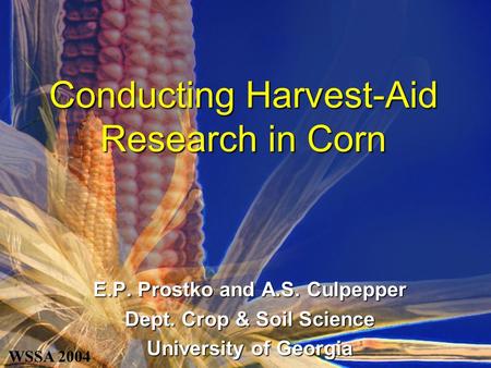 Conducting Harvest-Aid Research in Corn E.P. Prostko and A.S. Culpepper Dept. Crop & Soil Science University of Georgia WSSA 2004.