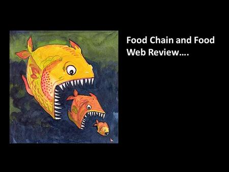 Food Chain and Food Web Review….. Q: Primary Producers? Primary consumers? Secondary consumers? Tertiary consumer?
