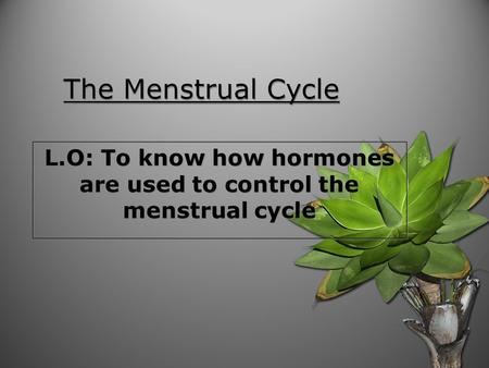 The Menstrual Cycle L.O: To know how hormones are used to control the menstrual cycle.