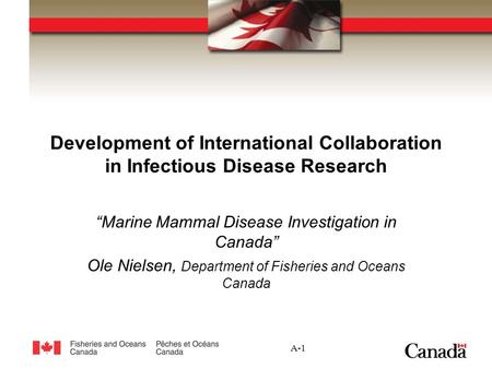 A-1 Development of International Collaboration in Infectious Disease Research “Marine Mammal Disease Investigation in Canada” Ole Nielsen, Department of.
