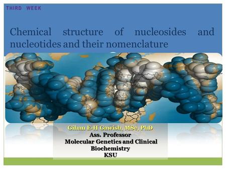 Chemical structure of nucleosides and nucleotides and their nomenclature Gihan E-H Gawish, MSc, PhD Ass. Professor Molecular Genetics and Clinical Biochemistry.