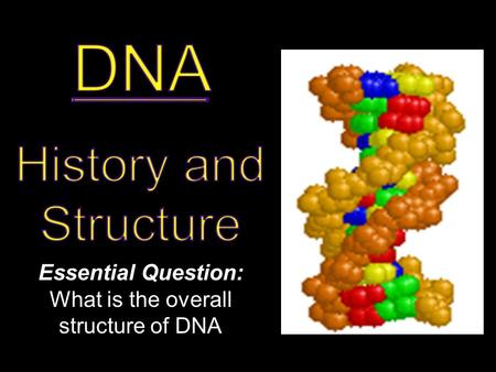 Essential Question: What is the overall structure of DNA.