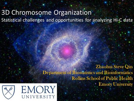 Zhaohui Steve Qin Department of Biostatistics and Bioinformatics Rollins School of Public Health Emory University 3D Chromosome Organization Statistical.