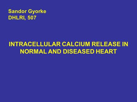 INTRACELLULAR CALCIUM RELEASE IN NORMAL AND DISEASED HEART Sandor Gyorke DHLRI, 507.