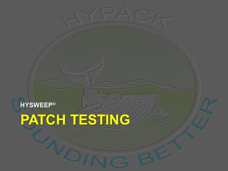 HYSWEEP® PATCH TESTING.