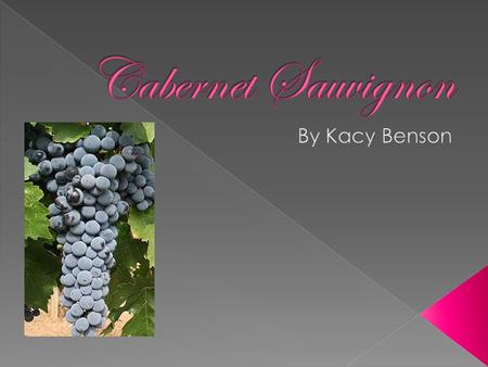 -Offspring of Cabernet franc and Sauvignon blanc in France -Grown in all the wine producing countries -California, Australia, South America, France, Italy,
