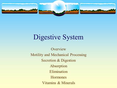 Digestive System Overview Motility and Mechanical Processing Secretion & Digestion Absorption Elimination Hormones Vitamins & Minerals.