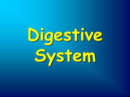 Digestive System. Mouth Esophogus Liver Anus Stomach Pancreas Large intestine Small intestine Rectum.