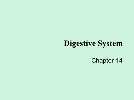 Digestive System Chapter 14 In your groups…you will come up with a definition (using YOUR WORDS) and a colored picture of it happening in the body. You.
