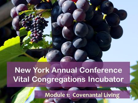 New York Annual Conference Vital Congregations Incubator Module 1: Covenantal Living.