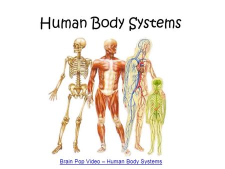Brain Pop Video – Human Body Systems
