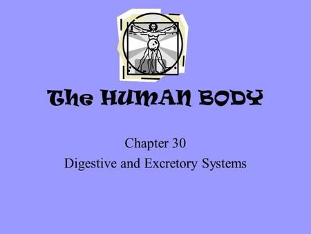 Chapter 30 Digestive and Excretory Systems