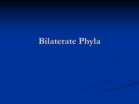 Bilaterate Phyla. Phylogeny Review ancestor Common metazoan.