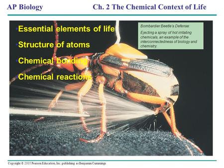 Copyright © 2005 Pearson Education, Inc. publishing as Benjamin Cummings AP Biology Ch. 2 The Chemical Context of Life Bombardier Beetle’s Defense: Ejecting.