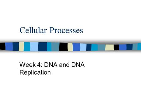 Cellular Processes Week 4: DNA and DNA Replication.