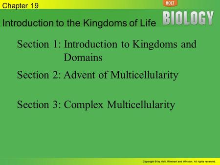 Section 1: Introduction to Kingdoms and Domains