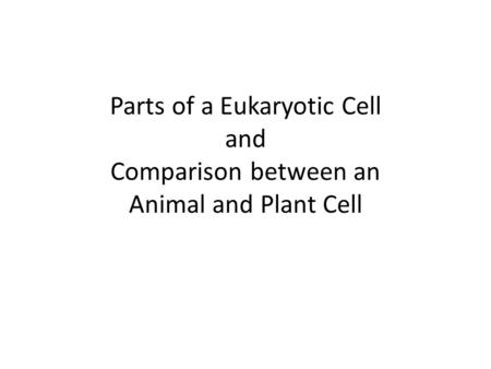 Parts of a Eukaryotic Cell and Comparison between an Animal and Plant Cell.
