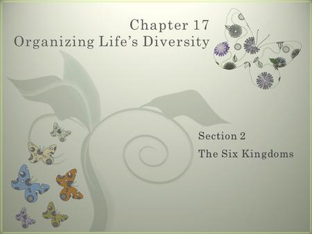 7 Chapter 17 Organizing Life’s Diversity. Eubacteria  Contains about 5,000 species  Organisms in this kingdom:  Are prokaryotic  (Review: cells lack.