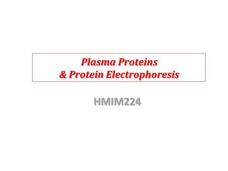 & Protein Electrophoresis