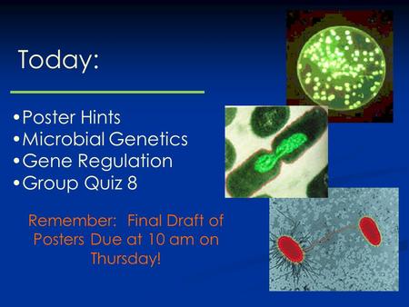 Remember: Final Draft of Posters Due at 10 am on Thursday! Today: Poster Hints Microbial Genetics Gene Regulation Group Quiz 8.