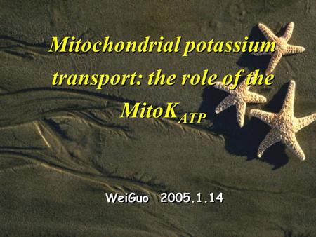 Mitochondrial potassium transport: the role of the MitoK ATP WeiGuo 2005.1.14.