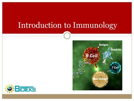 Introduction to Immunology. IMMUNOLOGY AND THE IMMUNE SYSTEM Immunology  Study of the components and function of the immune system Immune System  Molecules,