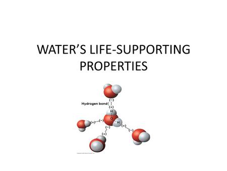 WATER’S LIFE-SUPPORTING PROPERTIES. Water’s polarity leads to hydrogen bonding and other unusual properties The charged regions on water molecules are.